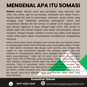 MENGENAL APA ITU SOMASI