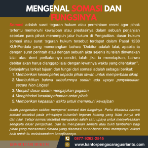 MENGENAL SOMASI DAN FUNGSINYA