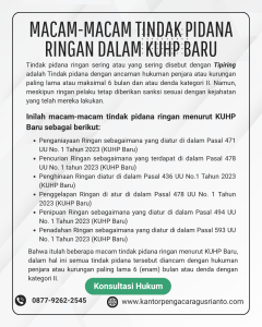 MACAM-MACAM TINDAK PIDANA RINGAN DALAM KUHP BARU